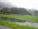 bild (35)